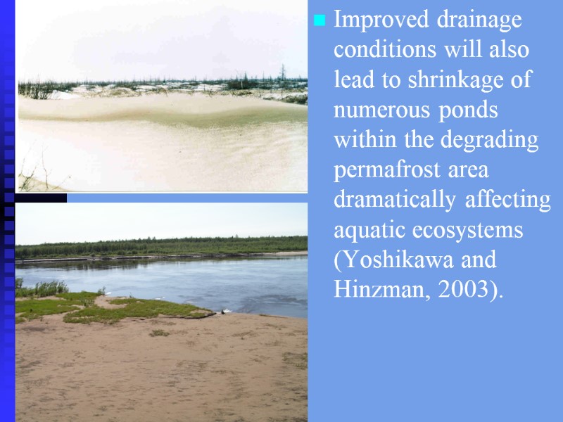 Improved drainage conditions will also lead to shrinkage of numerous ponds within the degrading